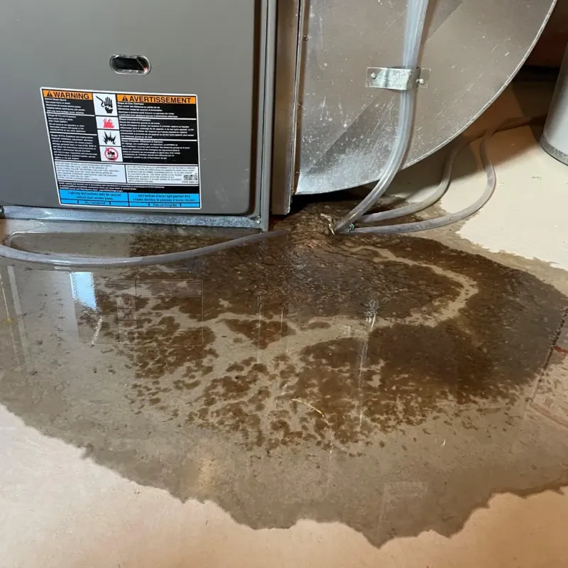 Appliance Leak Cleanup in Clay County, NC